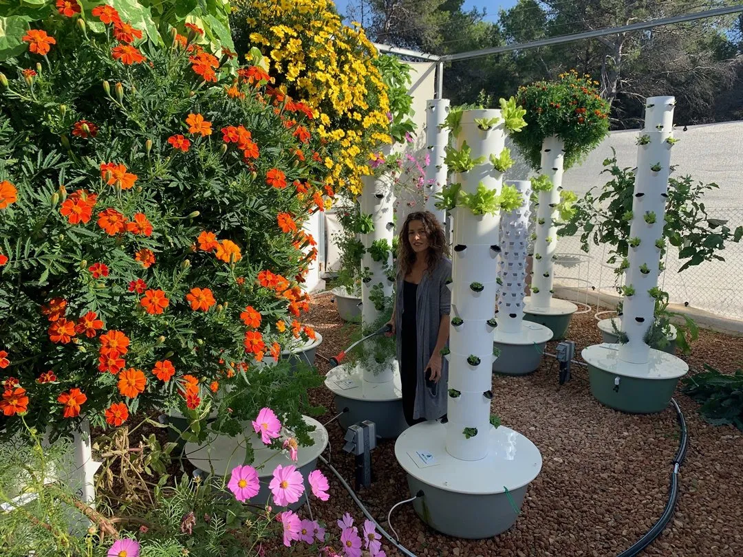 growing-marigold-flowers