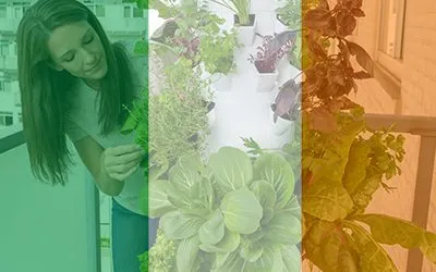 Tower Garden in Ireland