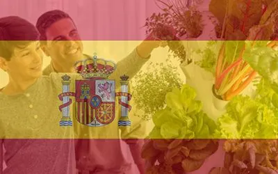 Tower Garden in Spain