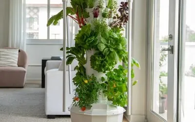Tower Garden in the UK