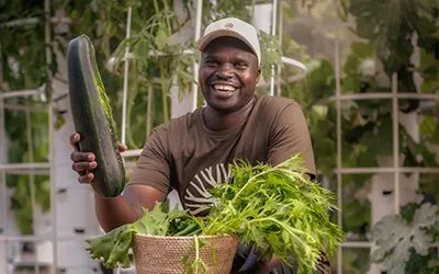 Vertical Farming in Africa with Tower Farms