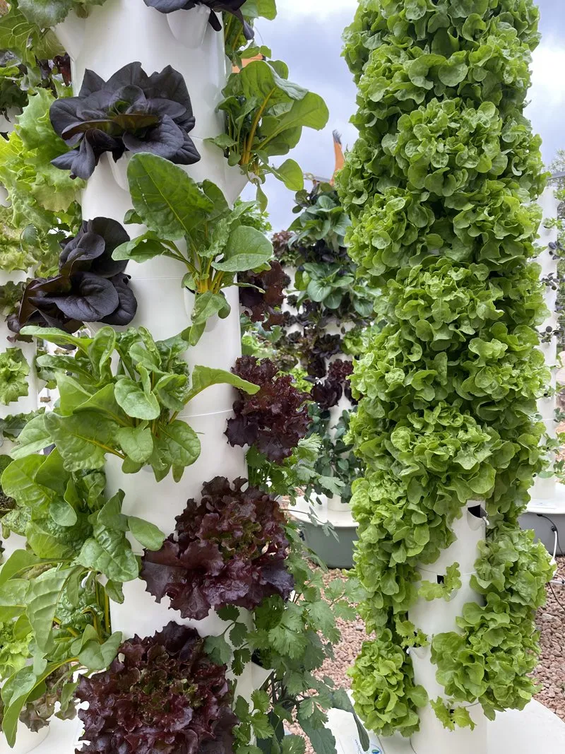 water-usage-of-tower-garden