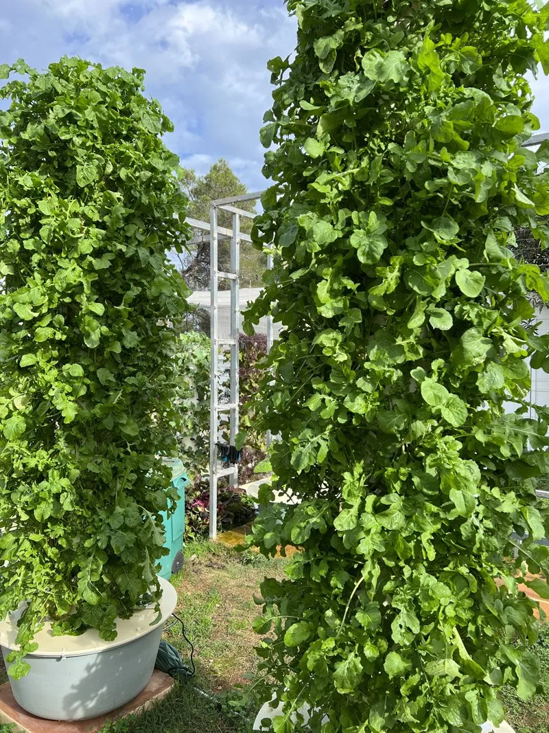 are-crops-on-tower-garden-organic