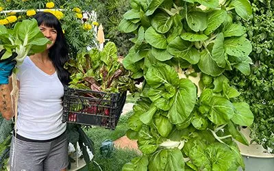 Is Tower Garden organic?