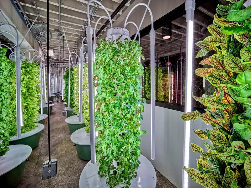 gather-in-omaha-indoor-farm
