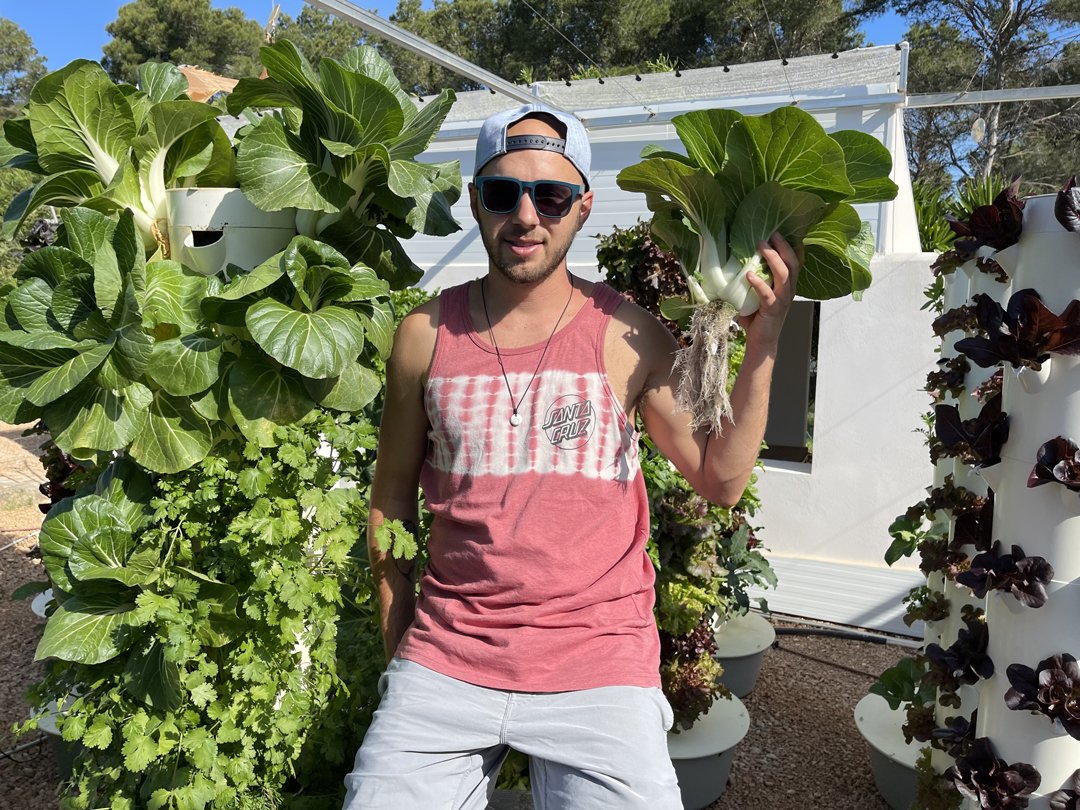 hydroponic-bok-choy-tower-garden