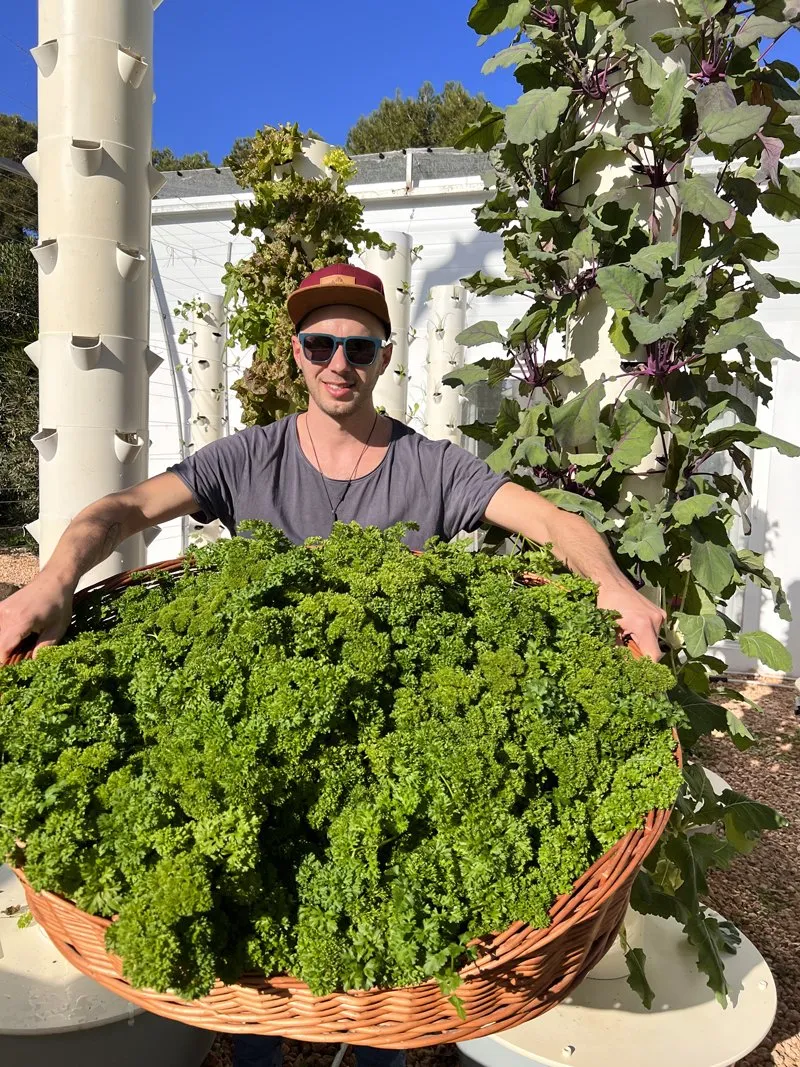 is-tower-garden-worth-it-2