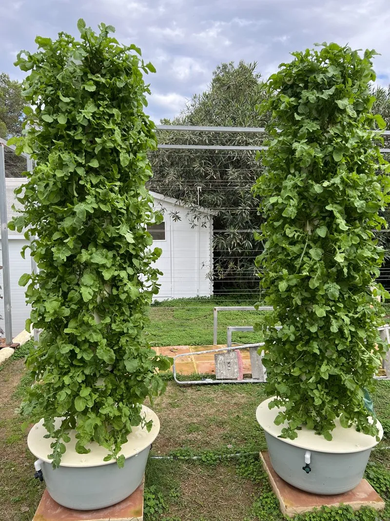 is-tower-garden-worth-it-3