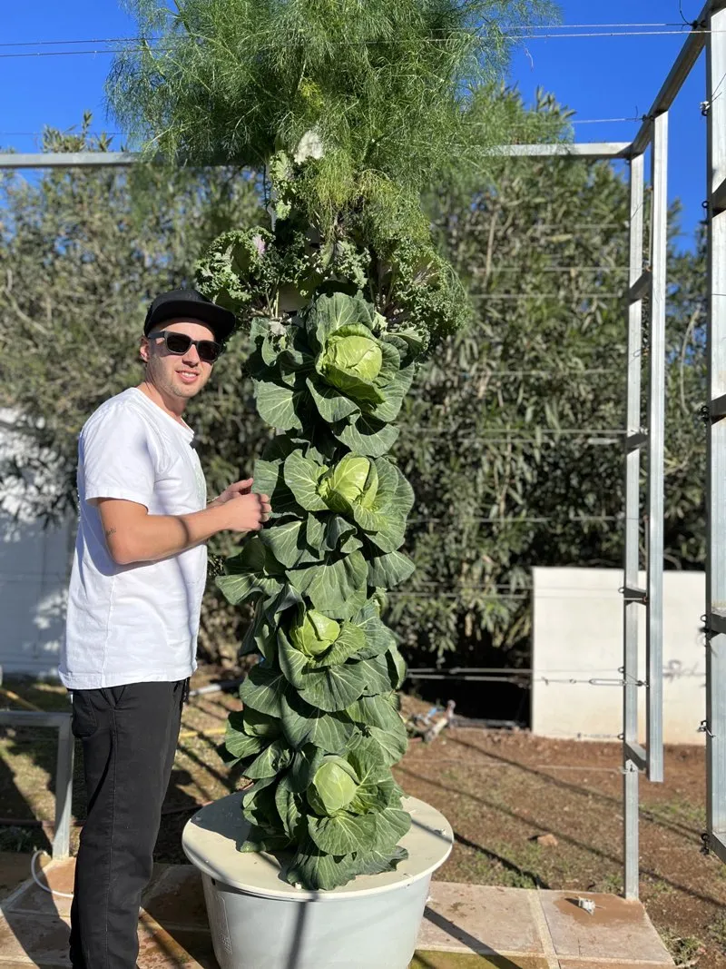 is-tower-garden-worth-it-4