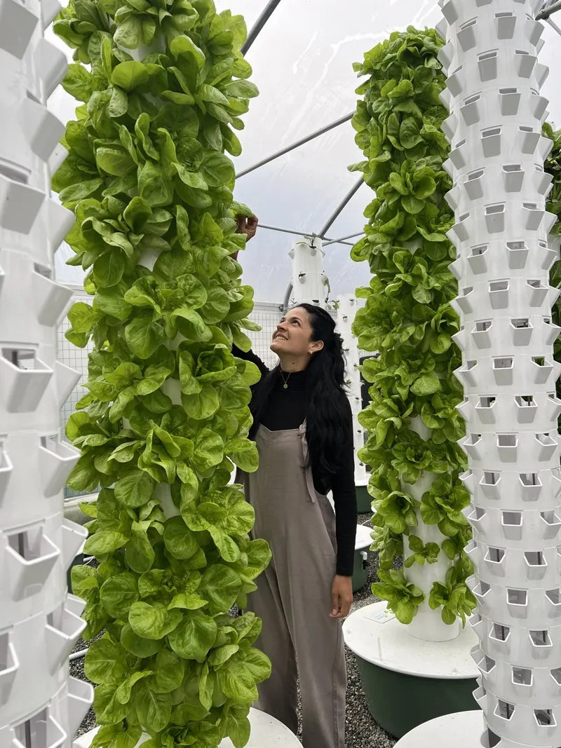 italy-aeroponic-towers