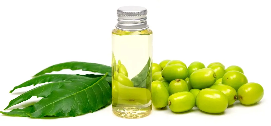 neem-oil-1