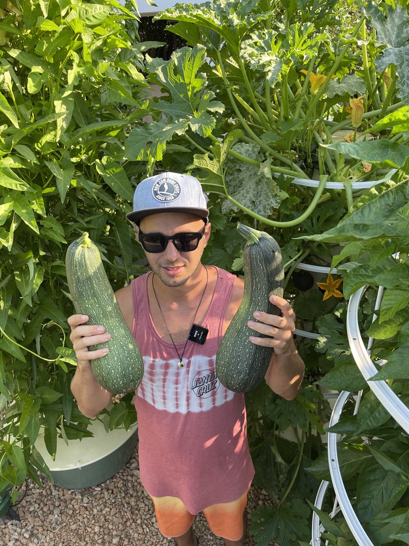 summer-squash-tower-garden