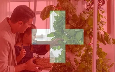 Tower Garden in Switzerland