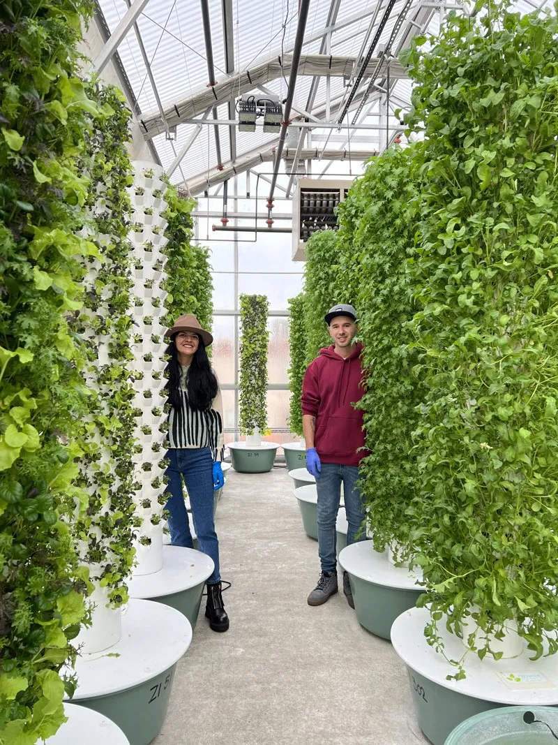 aeroponics-growing-system