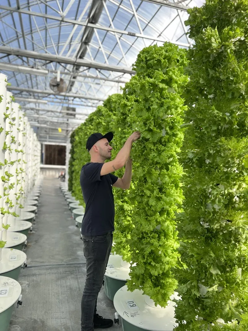 aeroponics-tower-garden