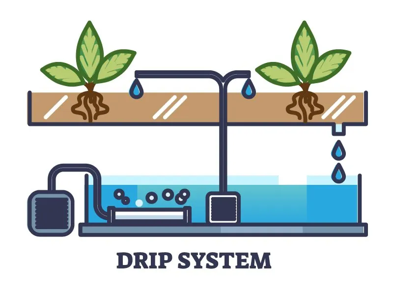 drip-irrigation