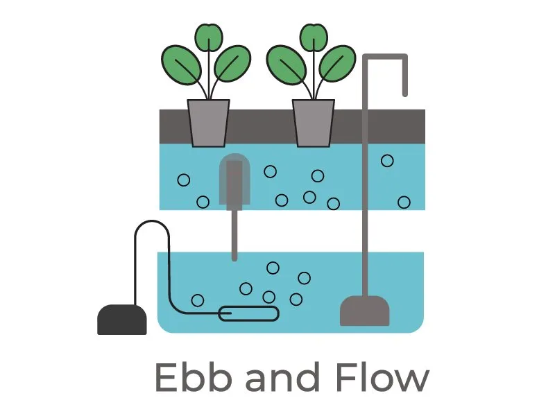 ebb-and-flow