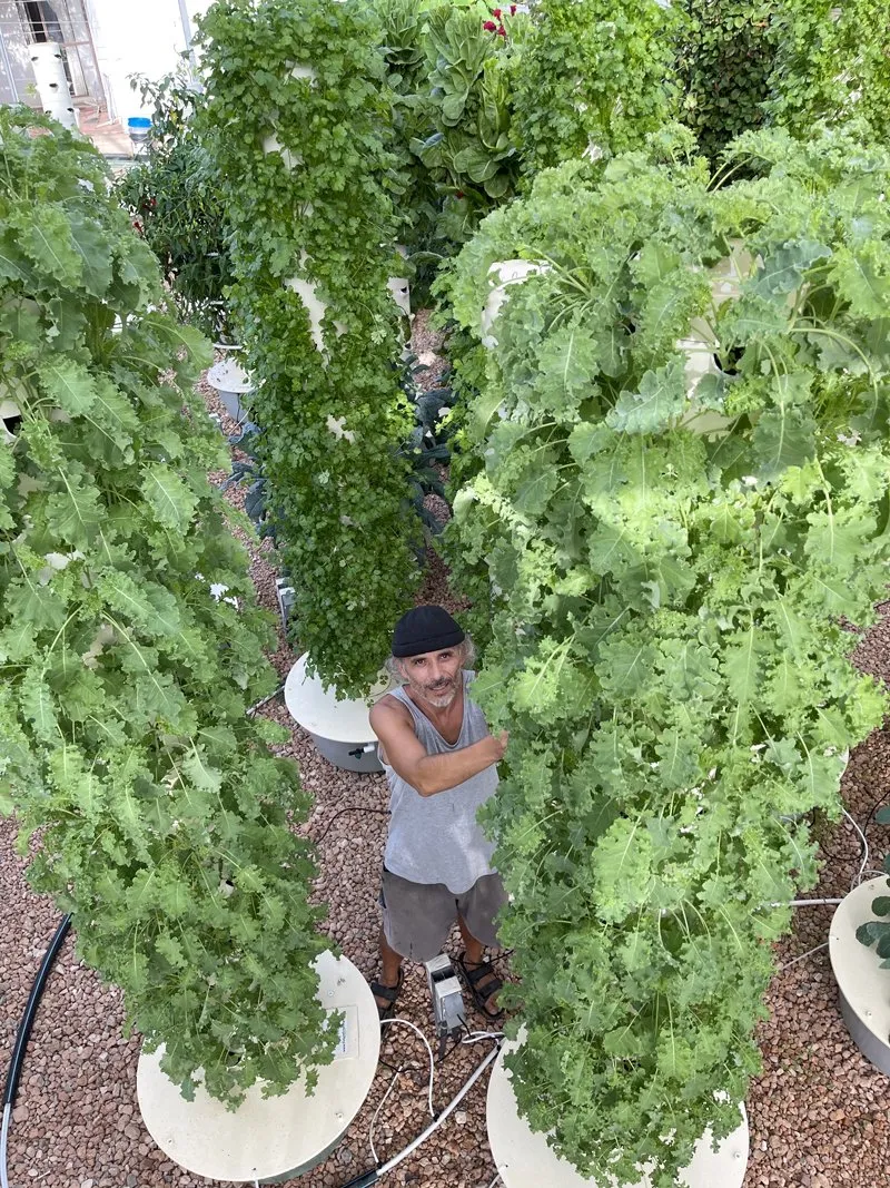 kale-aeroponic-tower