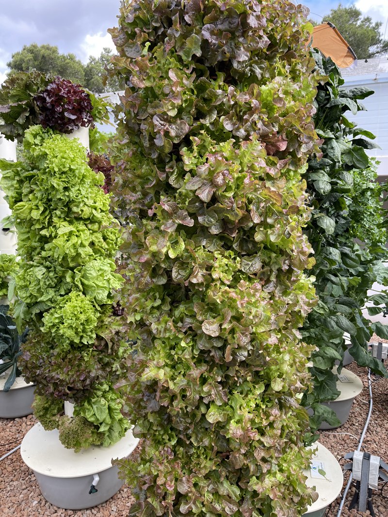 npk-for-aeroponics