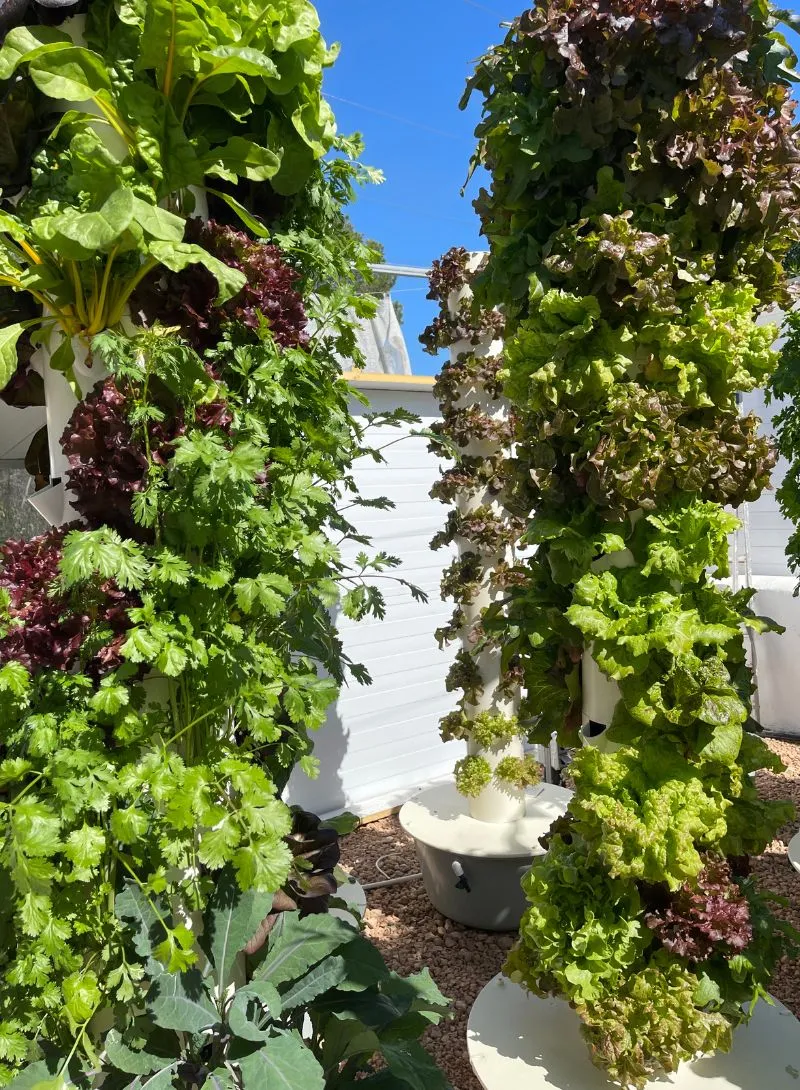 magnesium-tower-garden