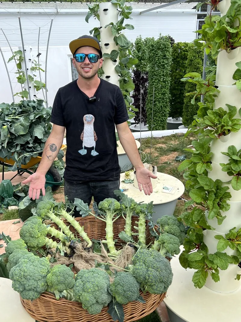 aeroponic-broccoli