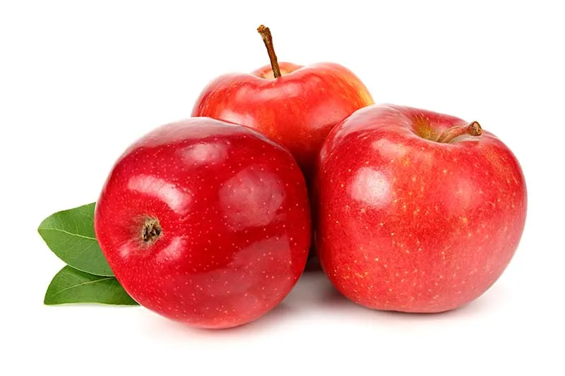 aeroponic-garden-apples