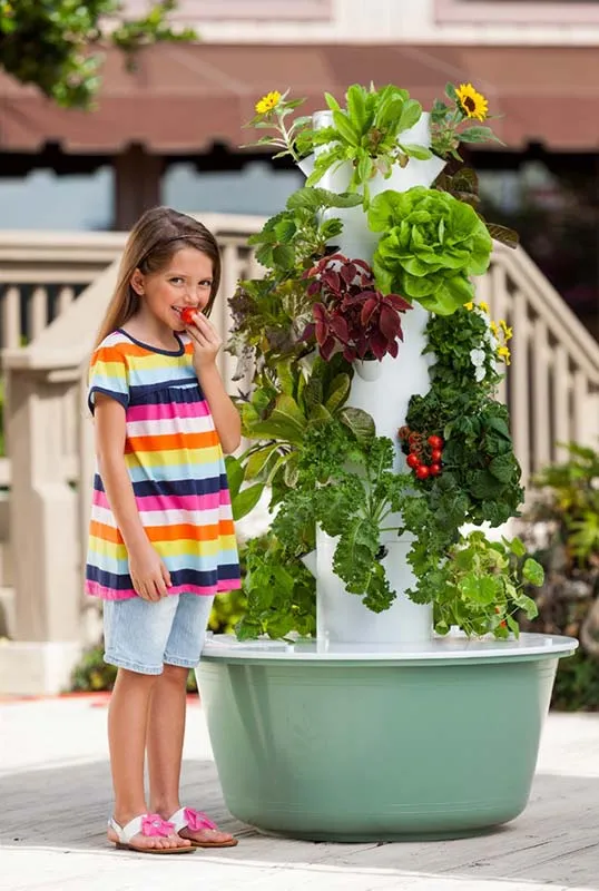 aeroponic-garden-berries