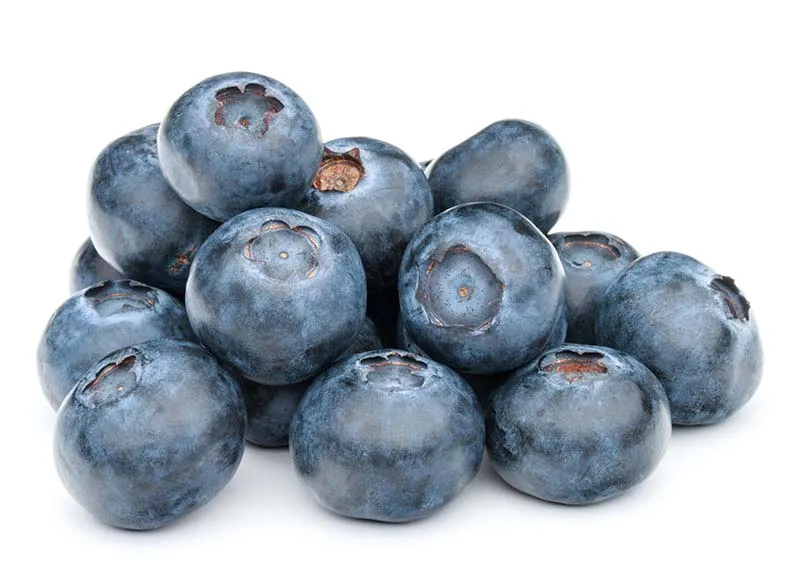 aeroponic-garden-blueberry