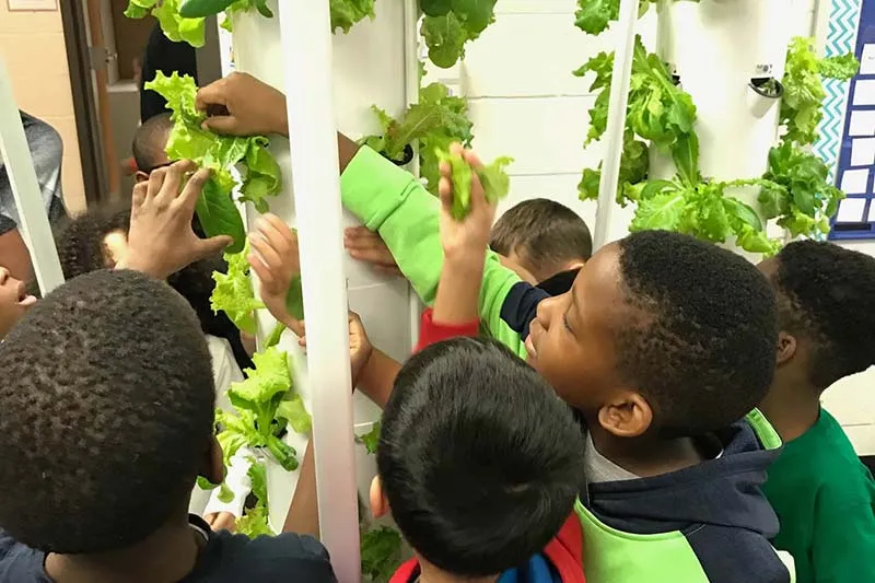 aeroponic-garden-class