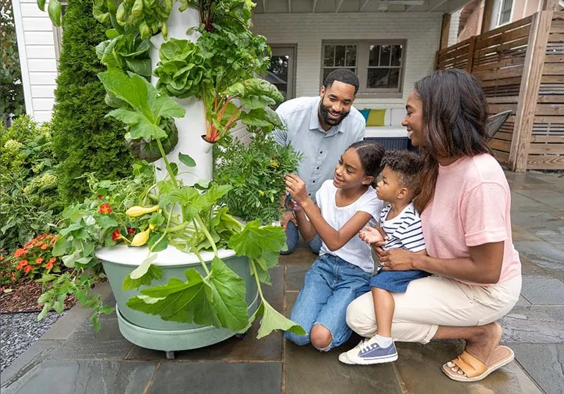 aeroponic-garden-family-planting