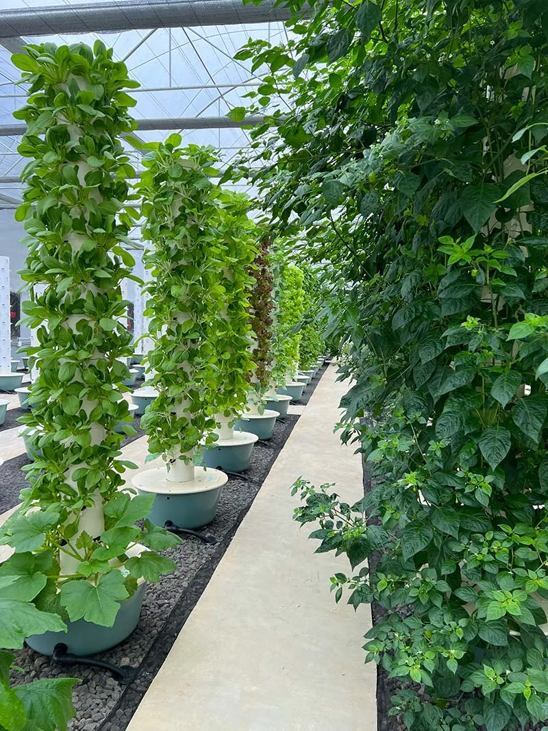aeroponic-garden-greenhouse
