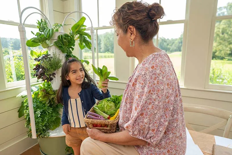 aeroponic-garden-lettuce-basket