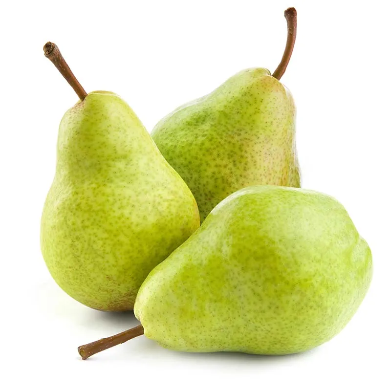 aeroponic-garden-pear