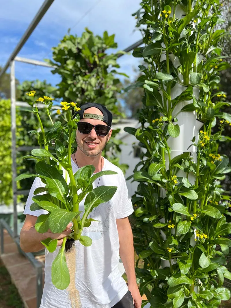 tower-garden-choy-sum
