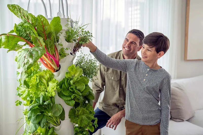tower-garden-kid-planting