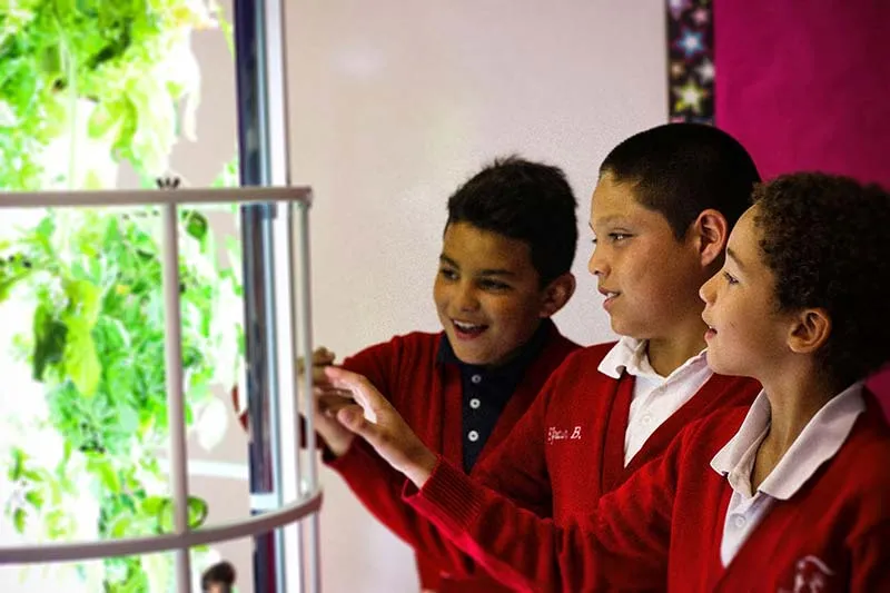 tower-garden-students