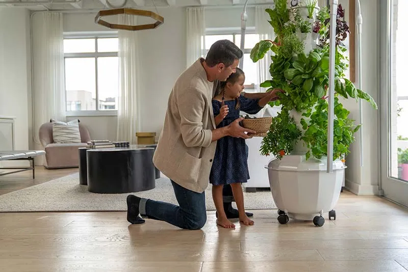 tower-garden-teaching-child