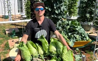 Summary of the brassica vegetables we cultivated