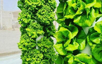 Vertical Farming with Tower Farms in Africa