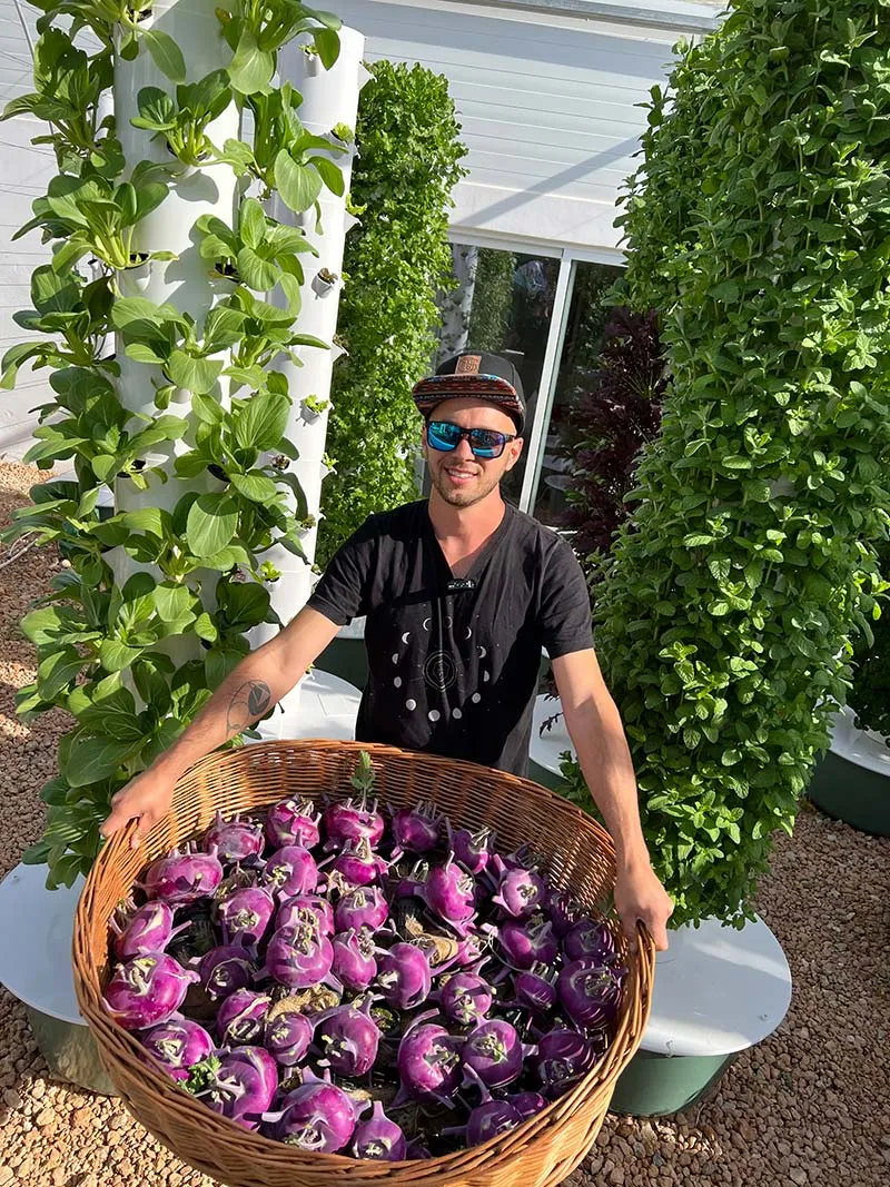 aeroponic-garden-kohlrabi