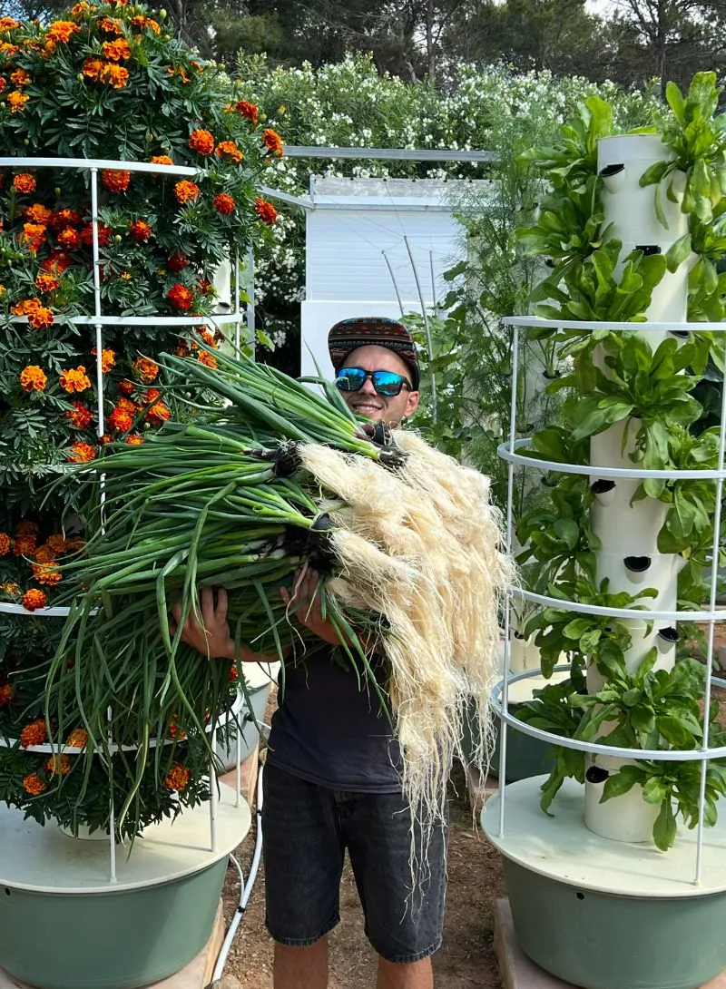 aeroponic garden raddish