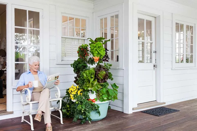 tower-garden-elderly