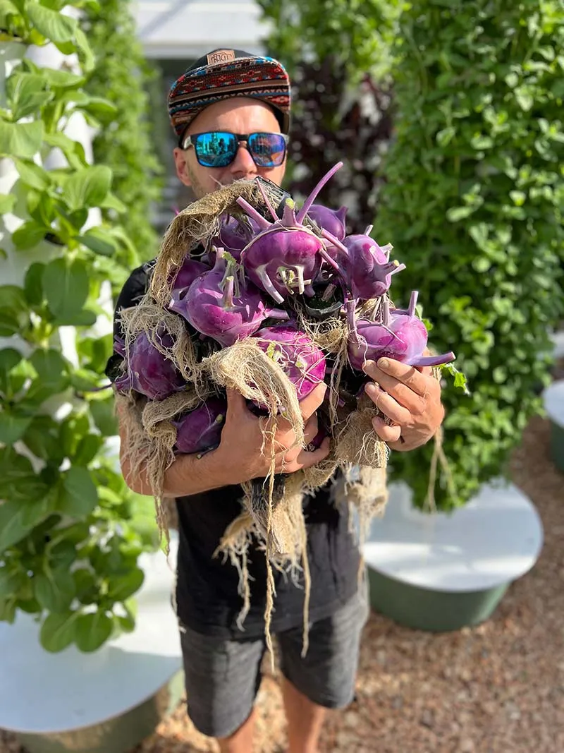 tower-garden-kohlrabi