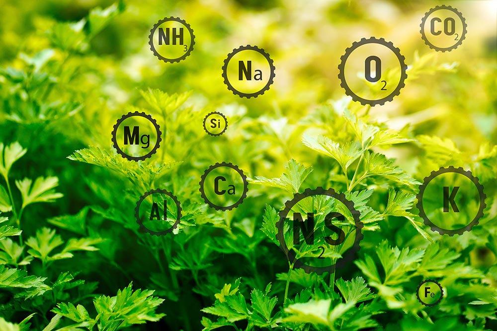 tower-garden-nutrients