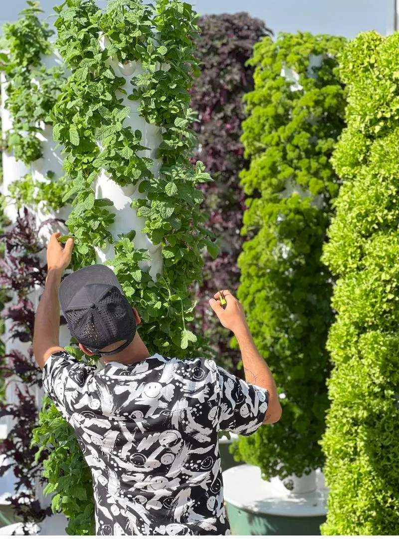 tower garden plants