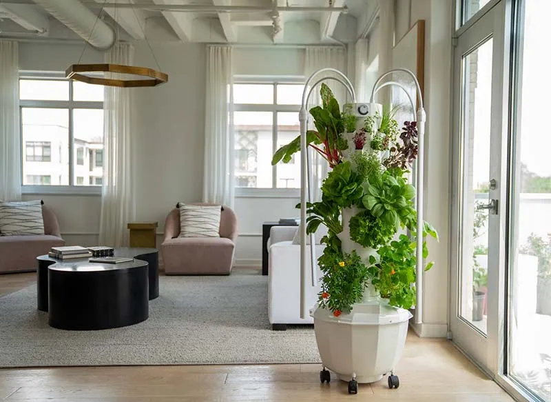 aeroponic-garden-indoor