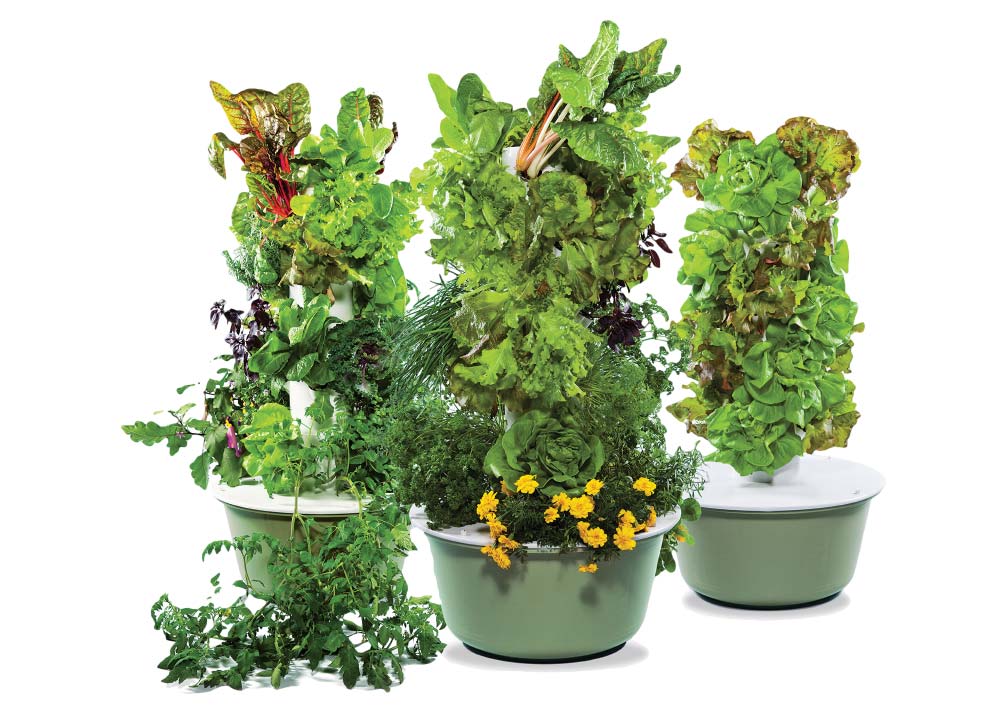 aeroponic-garden-plants