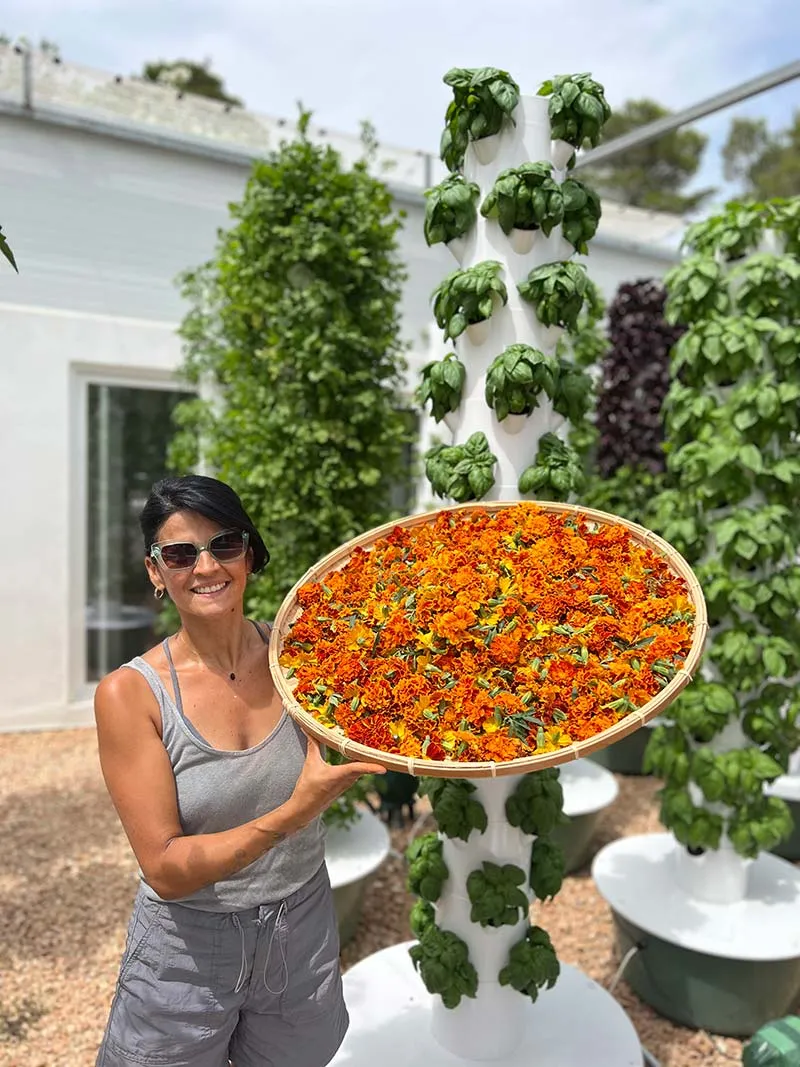 tower-garden-marigold-flower