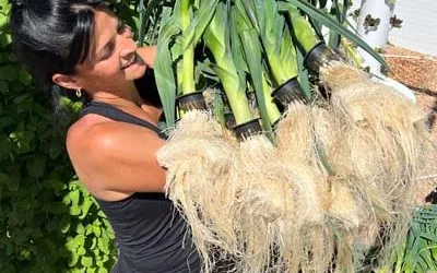 Growing Leeks on a Tower Garden