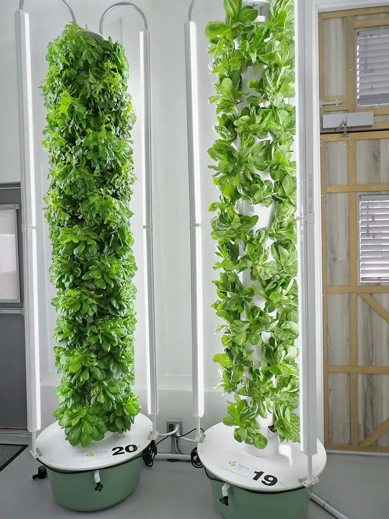 aeroponic-garden-LED-Grow-Lights
